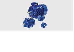 BEVI motor: 3D160L4B35