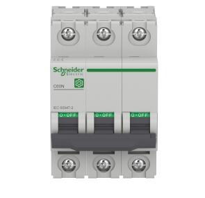 Schneider Small Circuit Breaker, M9F12310