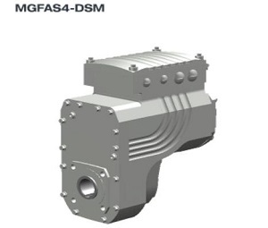 MGFAS4-DSM